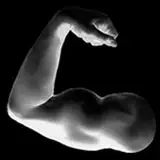 diymuscle from patreon