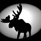 HankTheMoose from patreon